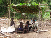 WVI04-11-07.jpg