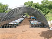 burkinafasocwo.JPG