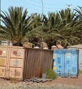 Eritrea finally slammed for human rights violations