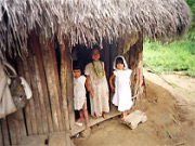 Colombian Natives